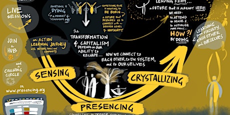 Hauptbild für Final Live Session of the MOOC 'u.lab - Leading From the Emerging Future'