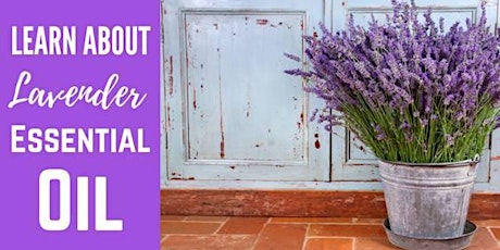 Learn About Lavender Essential Oil primary image
