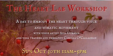 The Heart Lab Workshop in Athlone