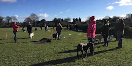 Pitstone Dog Agility Sessions primary image