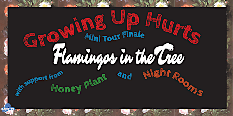 Flamingos In The Tree w/ Night Rooms & Honey Plant