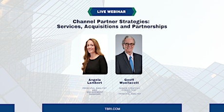 Channel partner strategies: Services, acquisitions and partnerships