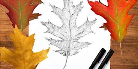 Drawing Leaves with Ink Workshop