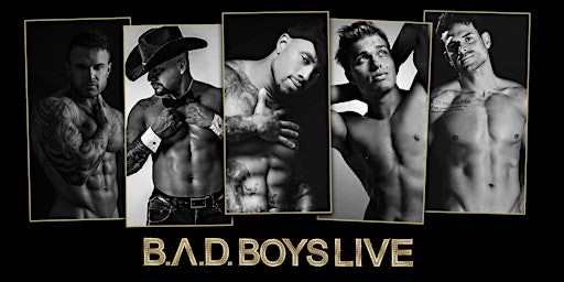 Bad Boys Live Male Revue 2023 - Chicago primary image