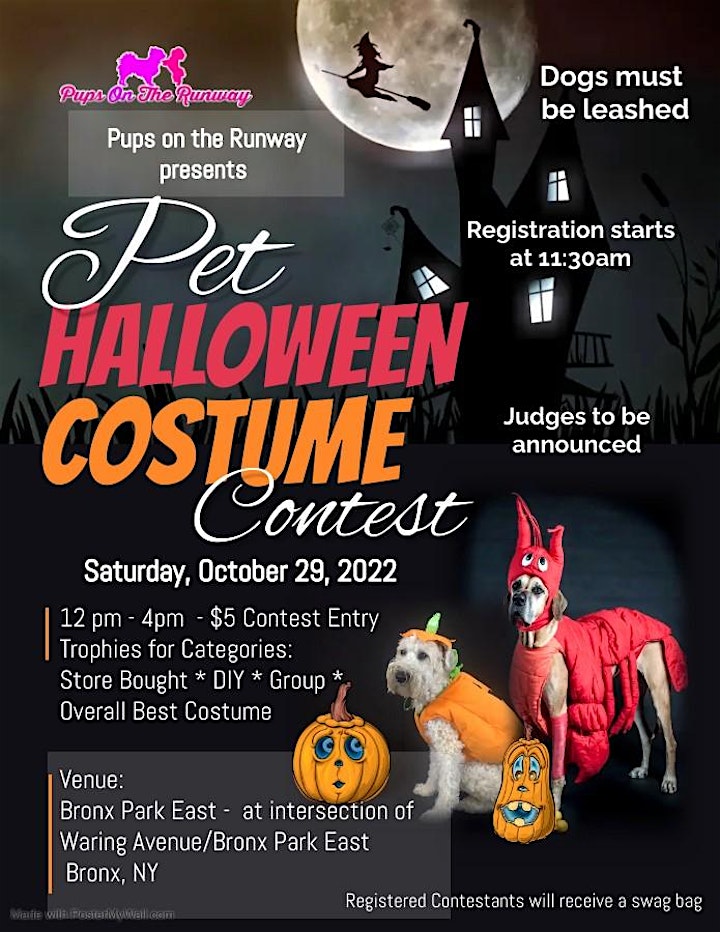 Pet Halloween Costume Contest image