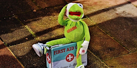 Paediatric First Aid Course primary image
