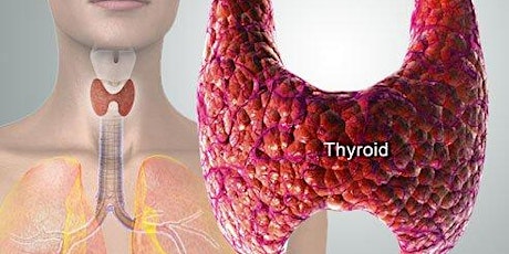 Thyroid & Autoimmune Seminar-Ft. Lauderdale primary image