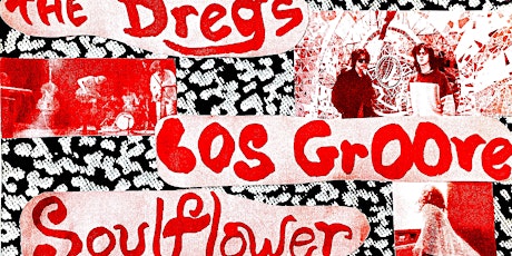 The Dregs with Los Groove and Soul Flower