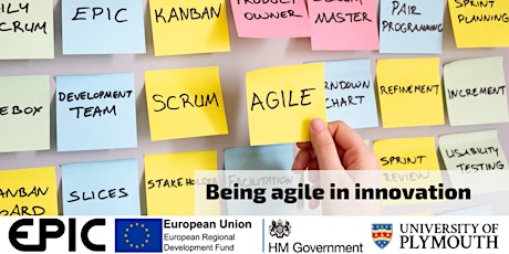 Being agile in innovation primary image