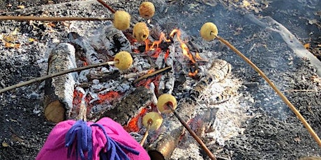 **11:00  KINGSBURY  session **Autumn campfire toffee apples and dens primary image