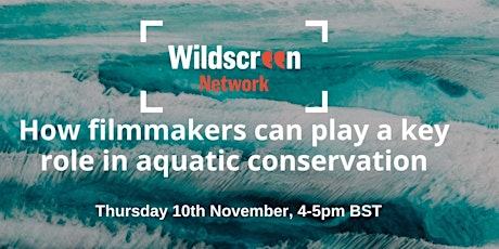 How filmmakers can play a key role in aquatic conservation Webinar