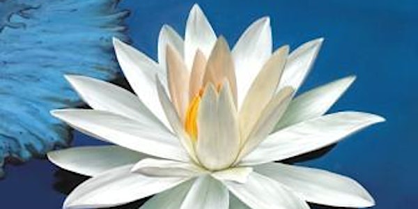 Clearing & Befriending the Mind-Field