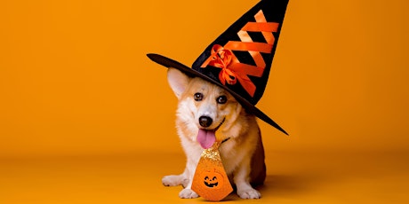 Coral Gables Magazine's Doggie Trick or Treat Party & Adoption Event