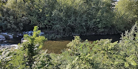 Immagine principale di Ciclo di incontri | Le specie invasive. Una minaccia per la biodiversità 