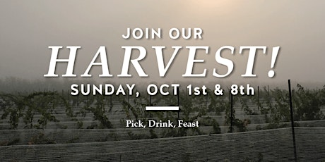 Help Us Harvest Party! primary image