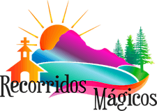 Imagen de perfil de organizador