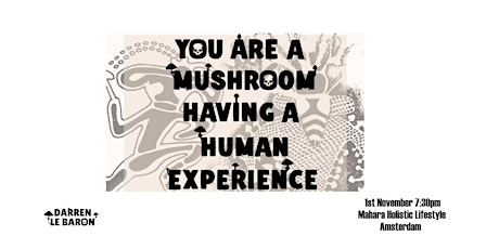 You Are A Mushroom Having A Human Experience