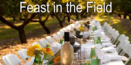 Feast in the Field - A True Farm-to-Table Experience