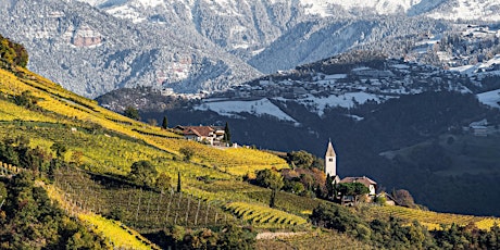 Südtirol Wein - eine Gleichung mit vielen Variablen