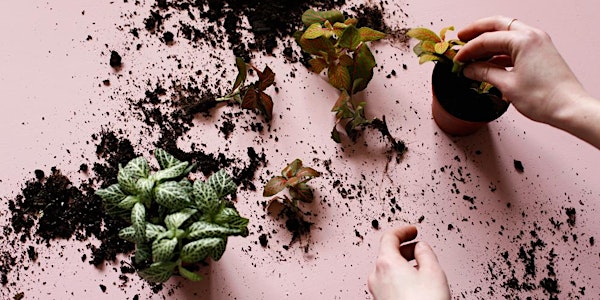 London Terrariums Workshop