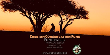 Fundraiser for Cheetah Conservation Fund