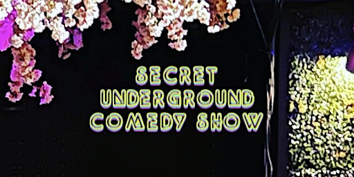 Secret Underground Comedy Show primary image