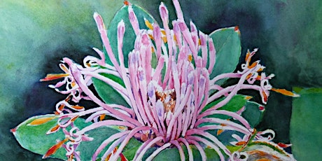 Healing and Joy through Painting Native Flowers in Watercolour