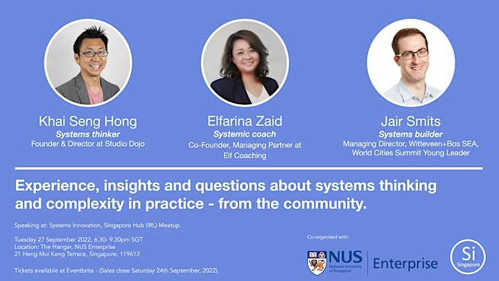 Systems Innovation - experience, insights, questions about systems thinking image