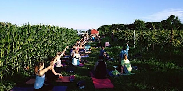 Yoga @ the Vineyard - Celebrating Harvest 2017