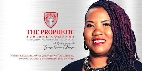 Prophetic Guidance, Prayers & Prophecy for Prophetic Scribes