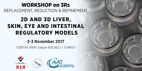 Workshop on 3Rs & 2D and 3D Liver, Skin, Eye and Intestinal Regulatory Models
