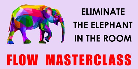Eliminate the Elephant in the Room - FLOW Masterclass
