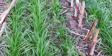 Hauptbild für 2022 Fall Farm Meeting