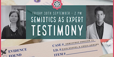 Semiotics as Expert Testimony