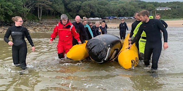 Live stranding course (Waterville, Co. Kerry)