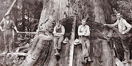 A Rough & Perilous Life: The Redwood Loggers of Woodside - Folger Stable Speaker Series primary image