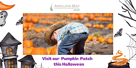 Hauptbild für Halloween Fun at the Bay, visit our Pumpkin Patch and carve your Pumpkin
