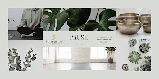 Pause - Introduction to Mind, Body + Spirit Connection