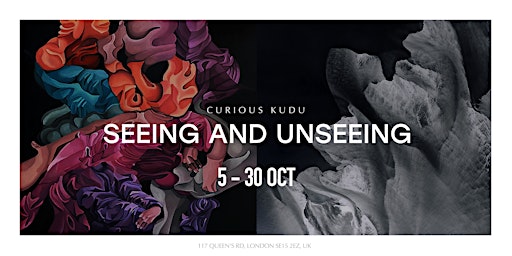 Seeing and Unseeing - Private View