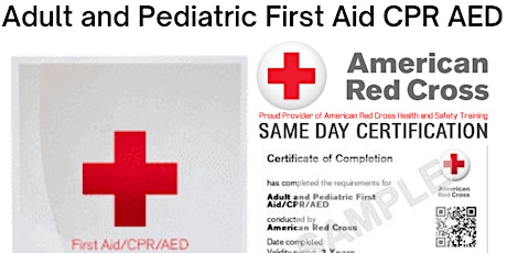 Adult and Pediatric First Aid CPR AED