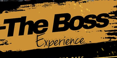 The BOSS Experience