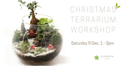Luxe Christmas Terrarium Workshop primary image