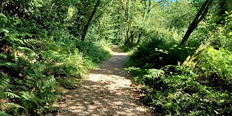 Hauptbild für Newport(Pembrokeshire)10km-Walk/Jog or Run Challenge