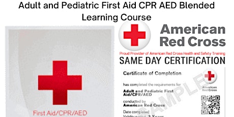 Adult and Pediatric First Aid CPR Blended Learning Course