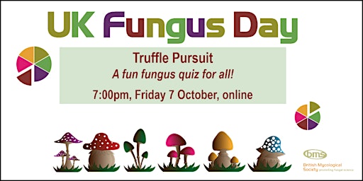 Truffle Pursuit: an online quiz for UK Fungus Day