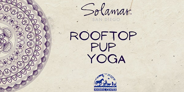 Rooftop Pup Yoga