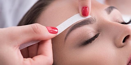 Brow Shaping & Waxing and Lash Tinting  primary image