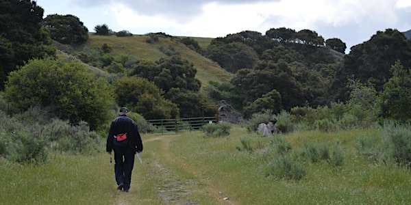 iNaturalist Oak Sapling and Sycamore Survey at Marks Ranch