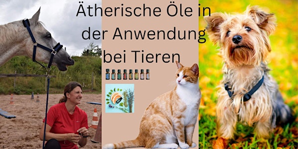 Ätherische Öle für Tiere in der Anwendung