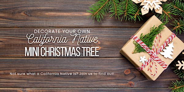Decorate Your Own California Native Mini Christmas Tree Workshop